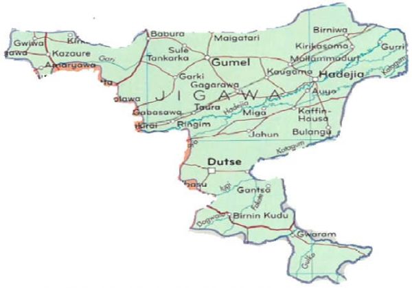 Outbreak of Diphtheria Claims 10 Lives in Jigawa State