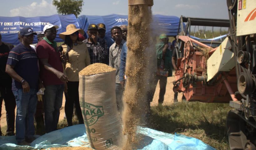 Agricultural Programme: State in Niger Delta Region, Harvests Rice, Cassava, Enhances Food Security