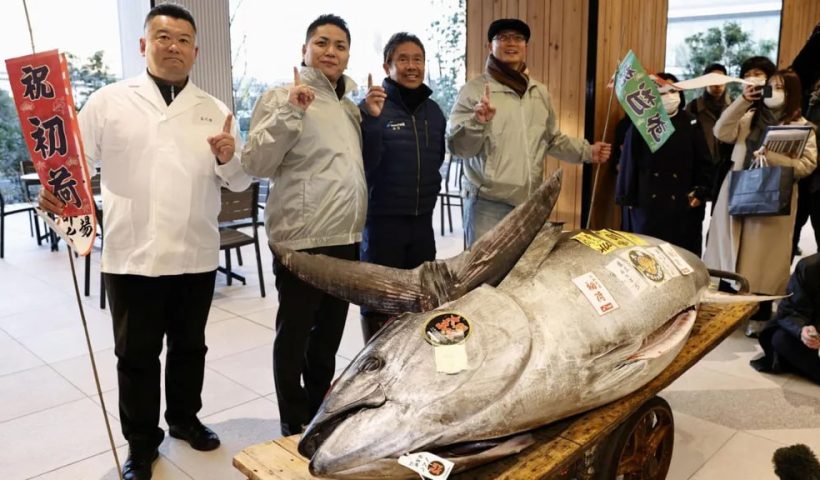 Giant Bluefin Tuna Fetches $1.3 Million at Tokyo's Toyosu Market Auction