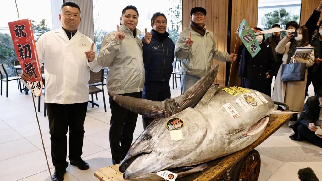 Giant Bluefin Tuna Fetches $1.3 Million at Tokyo's Toyosu Market Auction