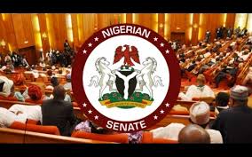 Senate Orders Probe of Safe School Fund After Abduction of Kebbi Students
