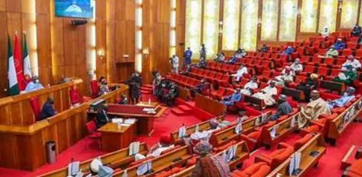 Insecurity: Senate Throws Weight Behind State Police, Orders Shutdown of Illegal Mining Firms